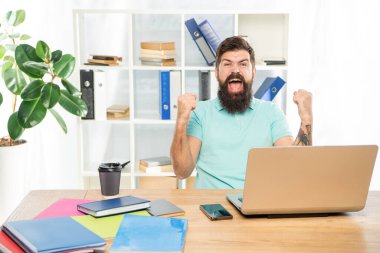 Heyecanlı adam mutlu çığlıklar atarak laptopta kazanma hareketi yapıyor, başarı.