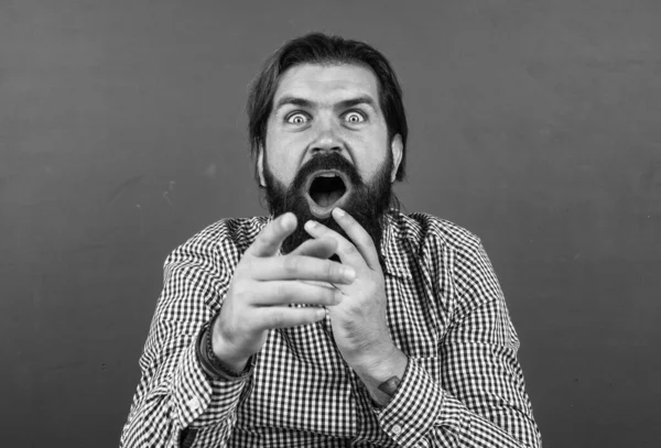 Aman Tanrım. Vahşi sakallı adam sıradan bir kareli gömlek giyer ve korkardı. İnsan duygularını ifade etmek. Yeşil arka planda beyaz bir hipster. Korkmuş olgun öğretmen tahtada