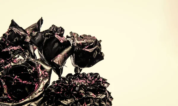 Black bunch of burned natural flowers isolated on white copy space, roses — Stock Photo, Image