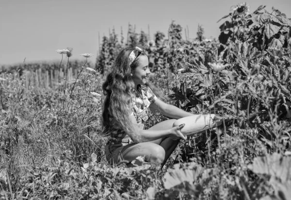 Bahçede yardım ediyorum. Mutlu çocuklar günü. çocukluk mutluluğu. Sebze iliğiyle mutlu çocuk portresi. Neşeli retro çocuk büyük ilik kabağı tutuyor. Küçük kız yaz çiftliğinde çiftçilik yapıyor. — Stok fotoğraf
