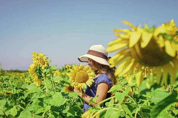 Adorável menina rústica desfrutar de verão no campo de girassóis, conceito de liberdade — Fotografia de Stock