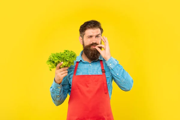 Winking man in apron licking finger holding fresh leaf lettuce yellow background, greengrocers — 스톡 사진