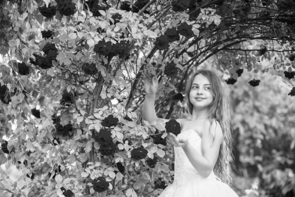 Menina vestido elegante desfrutando de rosa flor aroma florescendo jardim, conceito de eco lifectyle — Fotografia de Stock