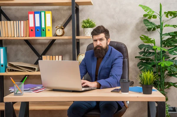 Bearded businessman work on laptop in the office, office worker — стоковое фото