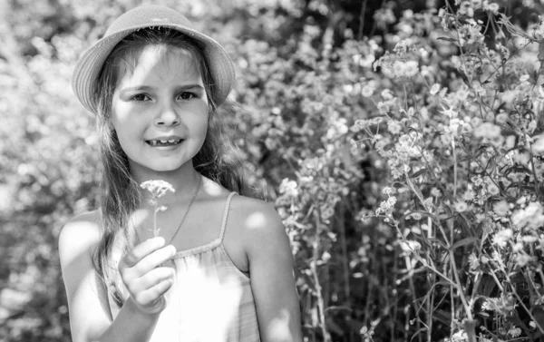 小さな子供でブロンド髪で太陽の帽子を保持カモミールの花の束のための母親と女性の日や誕生日の記念日に夏の自然花の風景,現在 — ストック写真