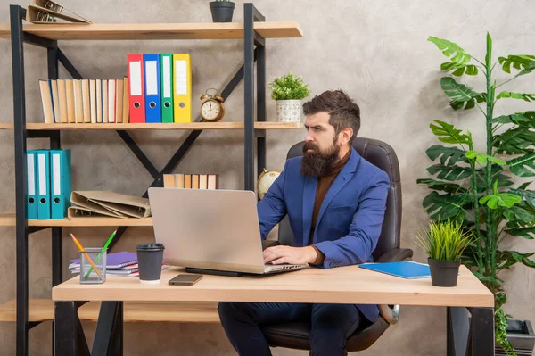 Luottavainen parrakas pomo opiskella verkossa kannettavan toimistossa, liiketalouden koulutus — kuvapankkivalokuva