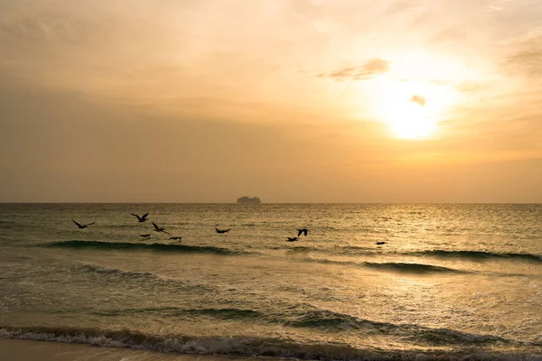 Seagulls in beautiful sunrise sky with sea water —  Fotos de Stock