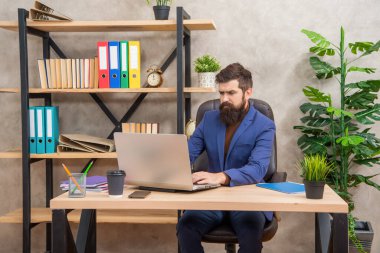serious mature entrepreneur working on computer at office, business