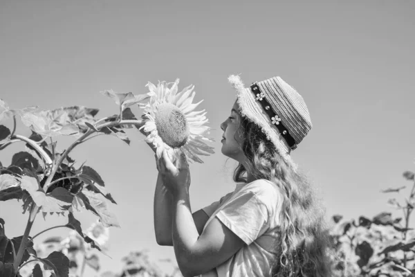 Em harmonia com a natureza. O miúdo usa chapéu de verão de palha. criança em campo de flores amarelas. menina adolescente no campo de girassol. conceito de férias de verão. colheita rica e agricultura. infância feliz — Fotografia de Stock