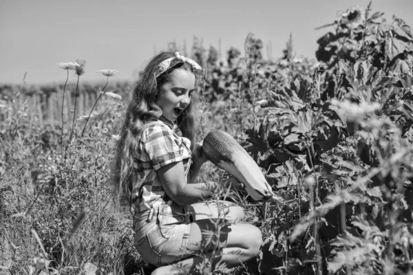 Retro gyönyörű lány mutatja cukkini. csinos kölyök a farmon. a nyári természet szépsége. Egy kislány a kertészkedésben squash-sel. zöldségvelő termesztése. Boldog gyermekkort. Transzplantációs üzem — Stock Fotó