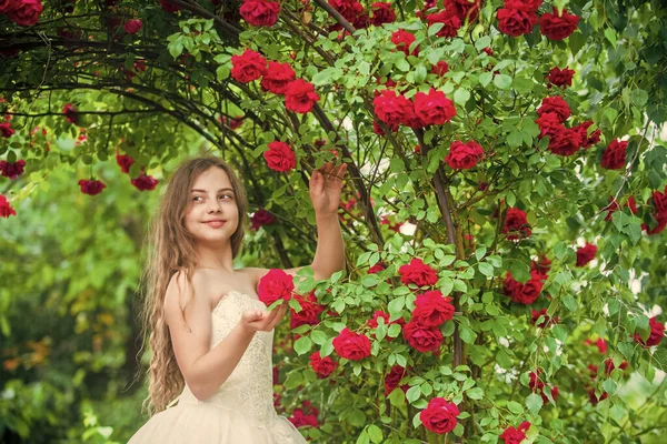 Ragazza vestito alla moda godendo rosa fiore aroma giardino fiorito, concetto di eco lifectyle — Foto Stock