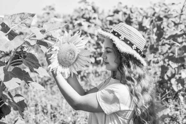 Niña juguetona cosechando hermosos girasoles en la granja, concepto de jardinería — Foto de Stock