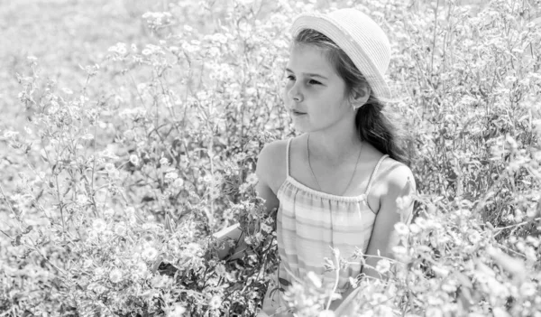 Criança com aparência de beleza use chapéu de sol relaxante no campo de flores de camomila na paisagem ensolarada do verão, dia das crianças — Fotografia de Stock