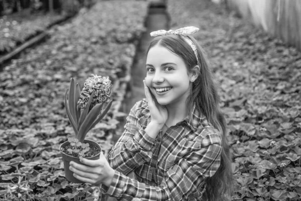 Heureux adolescent fille fleuriste soins pot plantes en serre, été — Photo