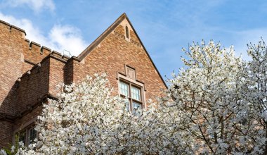 Seattle 'daki Washington Üniversitesi binası. Baharın açtığı güneşli bir gün Sakura ağacı