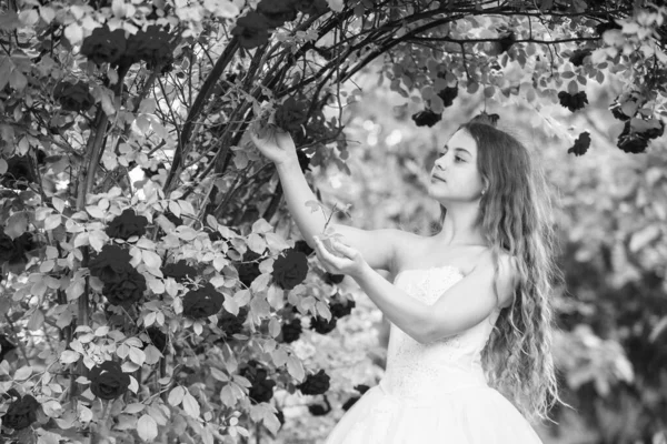 Важное событие. Свадебный ангел. дети наслаждаются цветком розы в парке. Весеннее цветущее дерево. летняя природа. женская мода парикмахера. Маленькая девочка с длинными вьющимися волосами. маленькая красота в белом платье — стоковое фото