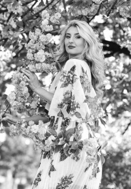 İyi görünümlü bahçıvan. yumuşak cilt bakımı. Kiraz ağacı bahçesinde sağlıklı bir kız. Klasik yaz modası. Parkta bahar doğası çiçek açar. Retro kadın sakura çiçeği kokusu alıyor. Spa ve güzellik tedavisi