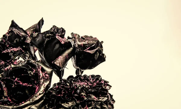 Schwarzer Strauß verbrannter natürlicher Blumen isoliert auf weißem Kopierraum, Rosen — Stockfoto