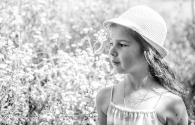 Çiçek açan tarlanın önündeki küçük kız, yaz doğası kavramı.