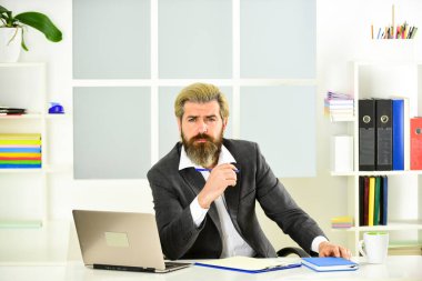 Entelektüel bir görev. Finansal analiz. Standartları yükseltmek. Borsa. Ofis personeli konsepti. İş çözümleri. Riskli bir iş. Sakallı patron dizüstü bilgisayarla oturuyor. Yönetici sorunları çözüyor