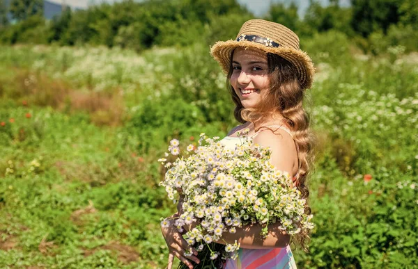 Маленькая Девочка Собирает Цветы Травы Солнечный День Концепция Отпуска — стоковое фото