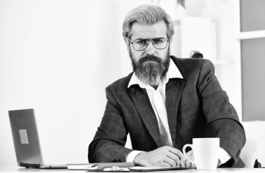 Standartları yükseltmek. Ofis personeli konsepti. İş çözümleri. Riskli bir iş. Sakallı patron dizüstü bilgisayarla oturuyor. Yönetici sorunları çözüyor. Entelektüel bir görev. Finansal analiz. Borsa.