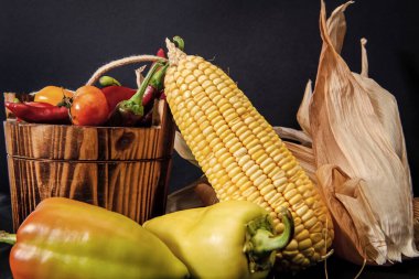 Bir kova taze biberli domates ve mısır koçanlı organik sebzeler doğal gıda ahşap arka plan fotokopi alanı, vejetaryen pişirme.