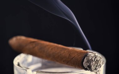 Dumanı tüten puro. Küba purosu yakmak koyu bir arka plan. Tütün tüttürüyor. Tütün dumanı. Nikotin bağımlılığı.