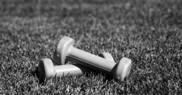 体育工具和设备 哑铃户外绿色草坪 健康的生活方式 举重和训练 准备在公园里锻炼 绿草上的铃铛 — 图库照片
