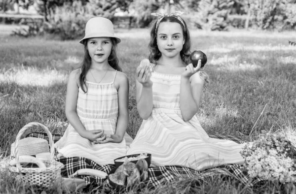 Irmãzinhas Fazendo Piquenique Verão Com Comida Saudável Conceito Amizade — Fotografia de Stock