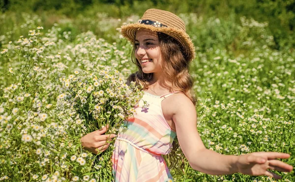 Счастливая Маленькая Девочка Цветы Травы Солнечный День Почувствуйте Себя Свободно — стоковое фото