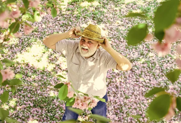 Jardim Primavera Homem Sénior Com Barba Cinzenta Chapéu Palha Feliz — Fotografia de Stock