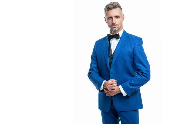 Grizzled Businessman Blue Tuxedo Suit Neck Bow Isolated White Background — Stock Photo, Image