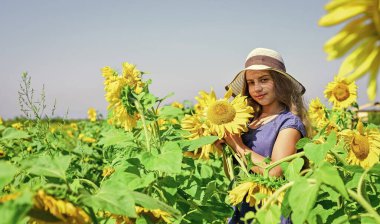 İlgili bahçıvan. Güzel ayçiçekli mutlu çocuk portresi. Sarı çiçeklerin arasında saman şapkalı neşeli çocuk. Yaz ayçiçeği tarlasında küçük bir kız. Mutlu çocuklar günü. çocukluk mutluluğu.