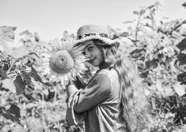 즐거운 날이었지 들판의 아이들 해바라기들 방학에 수확과 아이가 모자를 — 스톡 사진