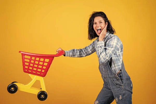 Zakupy Dziewczyno Zakupów Baw Się Dobrze Koncepcja Marketingu Gospodyni Domowa — Zdjęcie stockowe