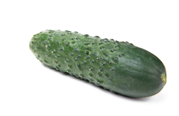 Ripe Whole Organic Green Cucumber Vegetable Isolated White — Fotografia de Stock