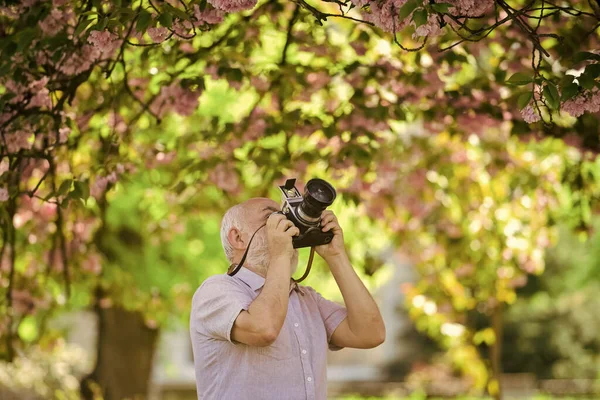 Hobby Leisure Experienced Photographer Spring Garden Senior Man Shoot Nature — Stock Photo, Image