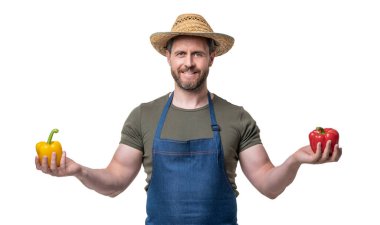 Önlüklü ve şapkalı tarla işçisi, beyaz üzerine izole edilmiş tatlı biberli sebze..