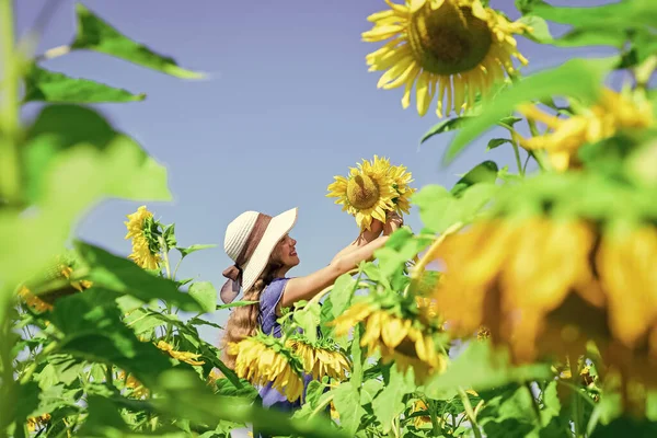 Zorgeloos Meisje Omgeven Zonnebloemen Genieten Van Haar Leven Harmonie Welzijn — Stockfoto