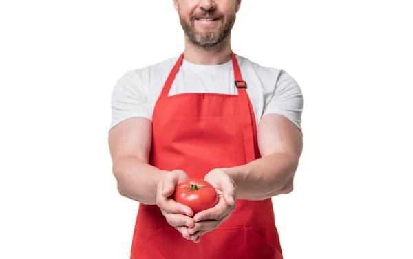 Cropped View Man Apron Tomato Vegetable Isolated White — Fotografia de Stock