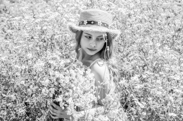Dívka Sbírání Kvetoucích Bylin Slunečný Letní Den Eko Koncept — Stock fotografie