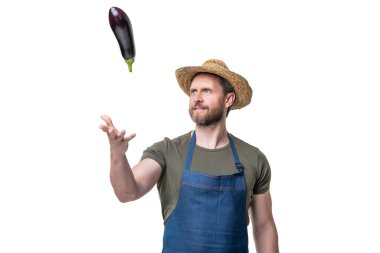 Önlüklü hasat ve şapkalı patlıcan sebzeli beyaz üzerine izole edilmiş.