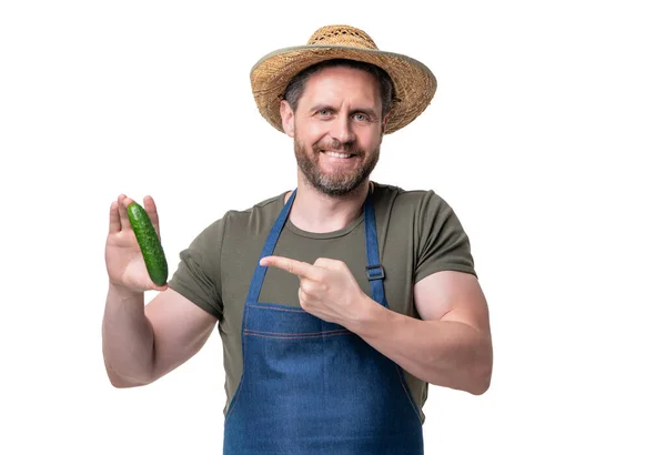 Man Apron Hat Cucumber Vegetable Isolated White Pointing Finger — Stock fotografie