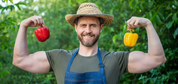 Happy Man Greengrocer Straw Hat Sweet Pepper — 스톡 사진