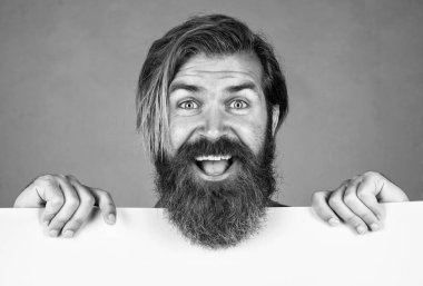 Saf mutluluk. Erkek berber yüz bakımı. Kendine güvenen ve yakışıklı. Duyuru ve reklam. Mutlu gülümseyen olgun adam. Sakallı adam pankartı tutuyor. Bıyıklı, vahşi, beyaz bir hippi..