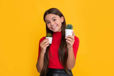 Sarı arka planda kaktüslü neşeli çocuk..