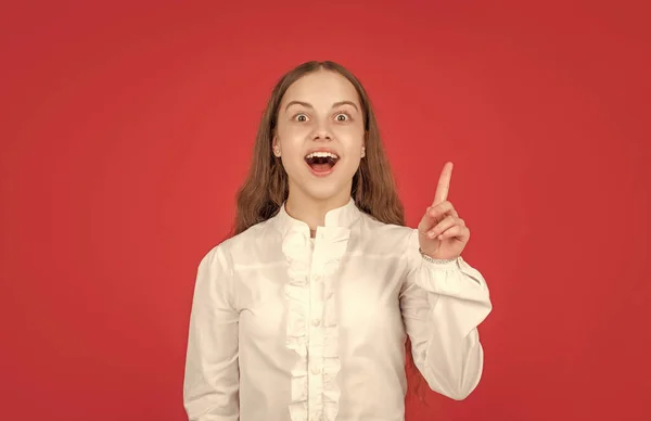 Volta Escola Conceito Educação Miúdo Camisa Branca Fundo Vermelho Infância — Fotografia de Stock