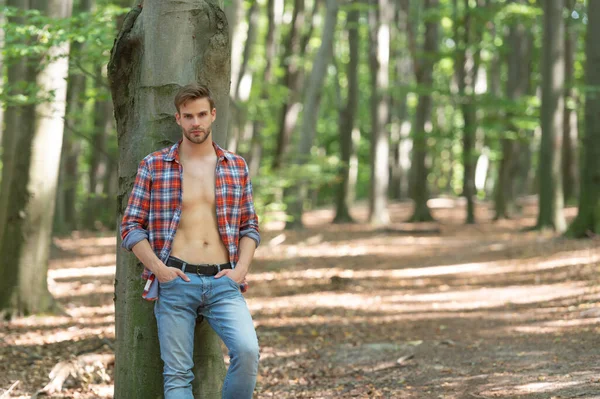 Schöner Unrasierter Mann Mit Holzfällerlook Aufgeknöpften Holzfällerhemd Vor Waldhintergrund Kopierraum — Stockfoto
