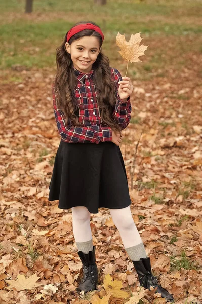 学校の制服を着た幸せな子供秋のもみじの屋外 — ストック写真